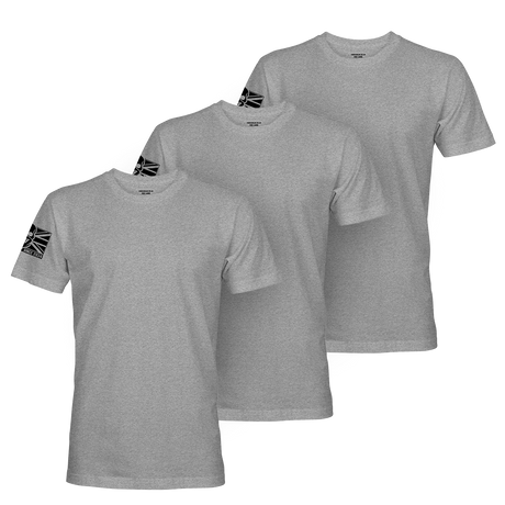 3 PACK BASE T-SHIRT / PT GREY