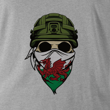 FW SOLDIER WALES HOODIE - Force Wear