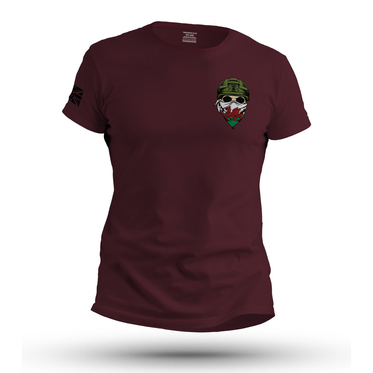FW SOLDIER WALES