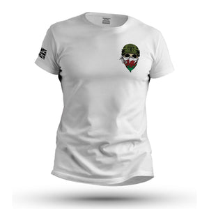 FW SOLDIER WALES