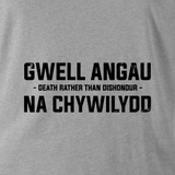 GWELL ANGAU NA CHYWILYDD (ROYAL WELSH) HOODIE