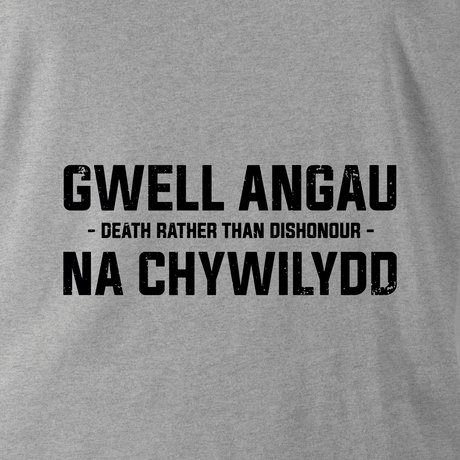 GWELL ANGAU NA CHYWILYDD (ROYAL WELSH) HOODIE - Force Wear