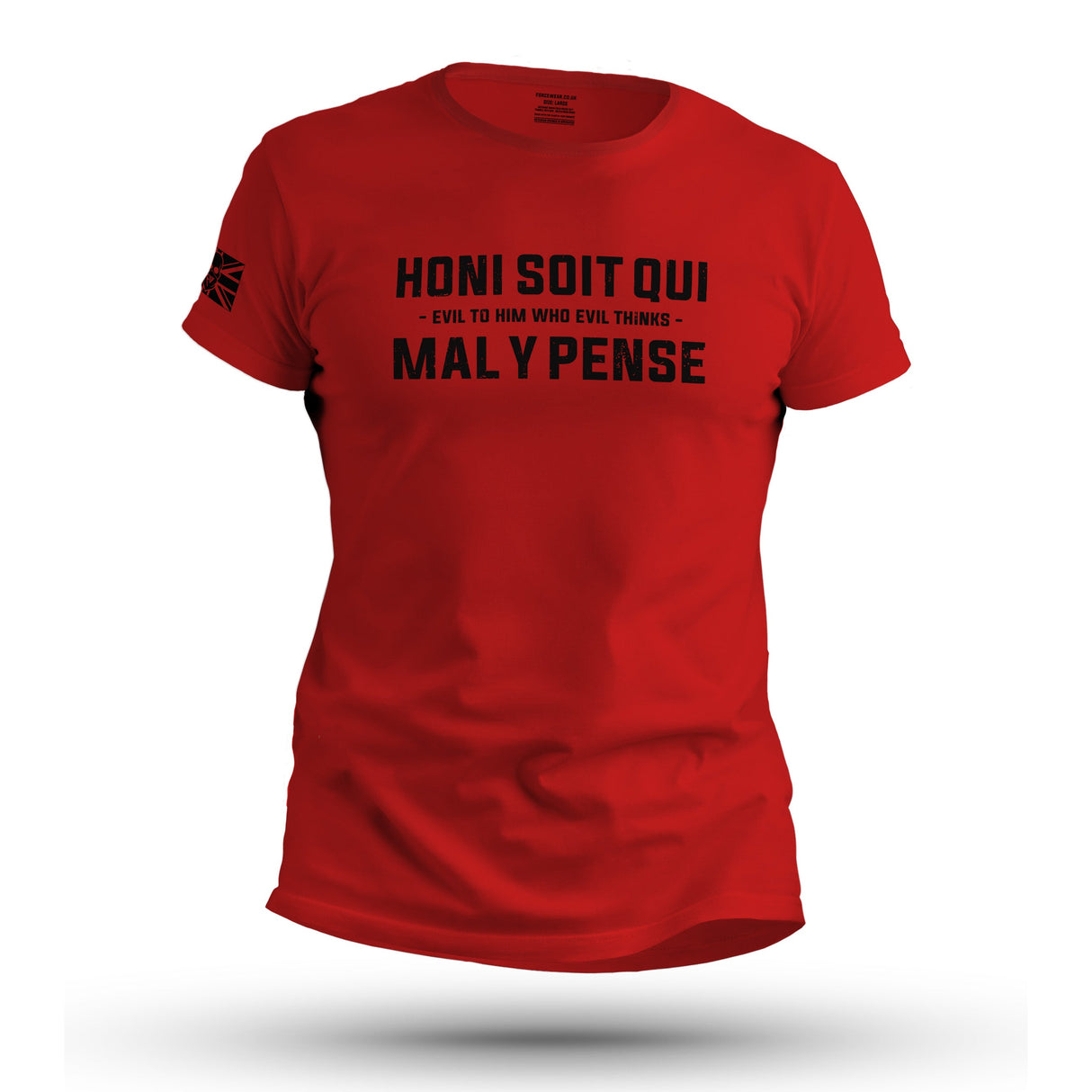 HONI SOIT QUI MAL Y PENSE