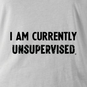 I AM CURRENTLY UNSUPERVISED