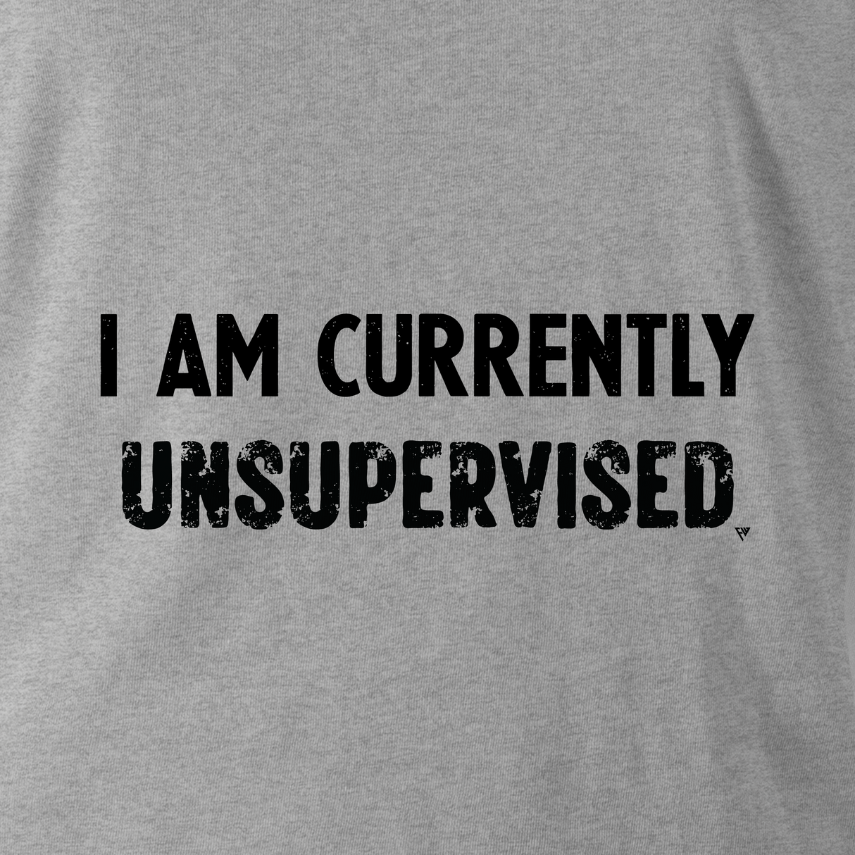 I AM CURRENTLY UNSUPERVISED HOODIE
