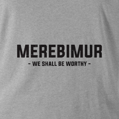 MEREBIMUR (THE LIGHT DRAGOONS) HOODIE - Force Wear