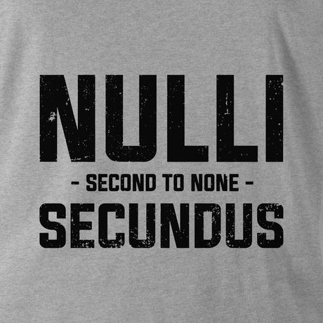 NULLI SECUNDUS (COLDSTREAM GUARDS) HOODIE - Force Wear
