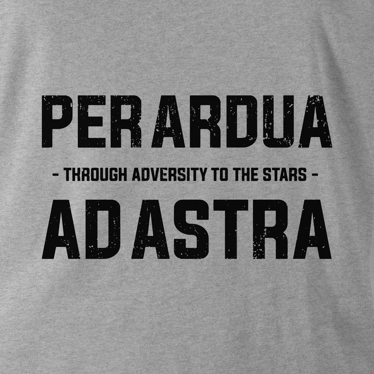 PER ARDUA AD ASTRA (RAF) HOODIE