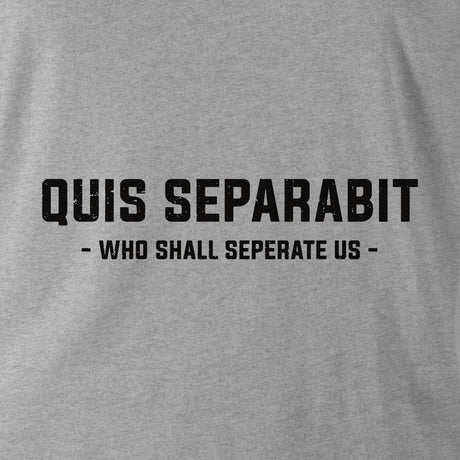 QUIS SEPARABIT (ROYAL DRAGOON GUARDS) HOODIE - Force Wear