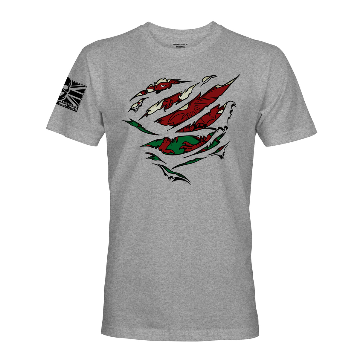 RIPPED WELSH FLAG