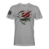 RIPPED WELSH FLAG