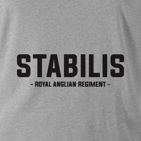 STABILIS (ROYAL ANGLIAN REGIMENT) HOODIE - Force Wear