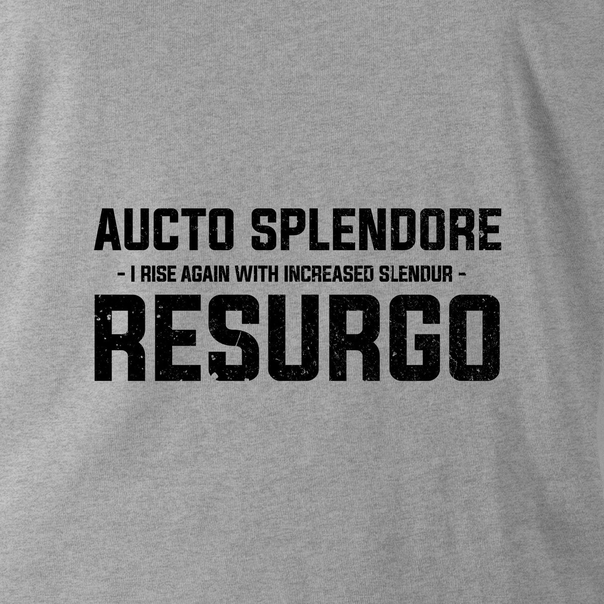 AUCTO SPLENDORE RESURGO (THE LIGHT INFANTRY) - Force Wear HQ - T-SHIRTS