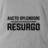 AUCTO SPLENDORE RESURGO (THE LIGHT INFANTRY) - Force Wear HQ - T-SHIRTS