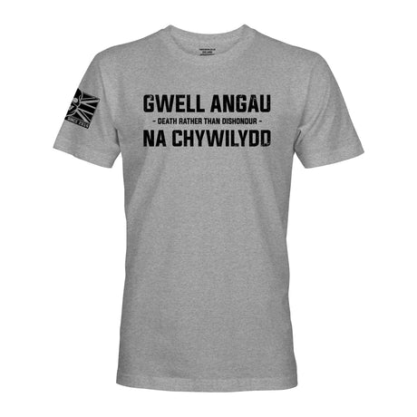 GWELL ANGAU NA CHYWILYDD (ROYAL WELSH) - Force Wear HQ - T-SHIRTS