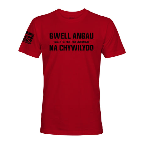 GWELL ANGAU NA CHYWILYDD (ROYAL WELSH) - Force Wear HQ - T-SHIRTS